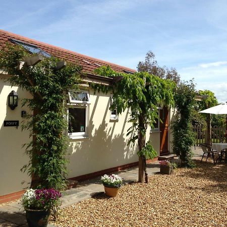Ashford House B&B Wells Kültér fotó