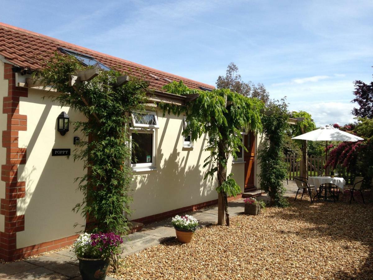 Ashford House B&B Wells Kültér fotó